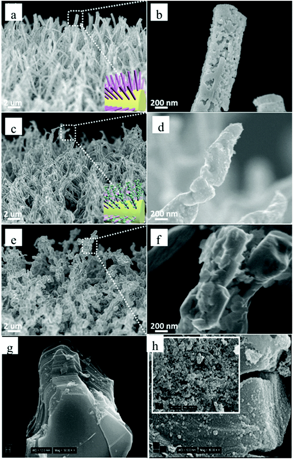 Heterostructures of titanium-based MXenes in energy conversion and 