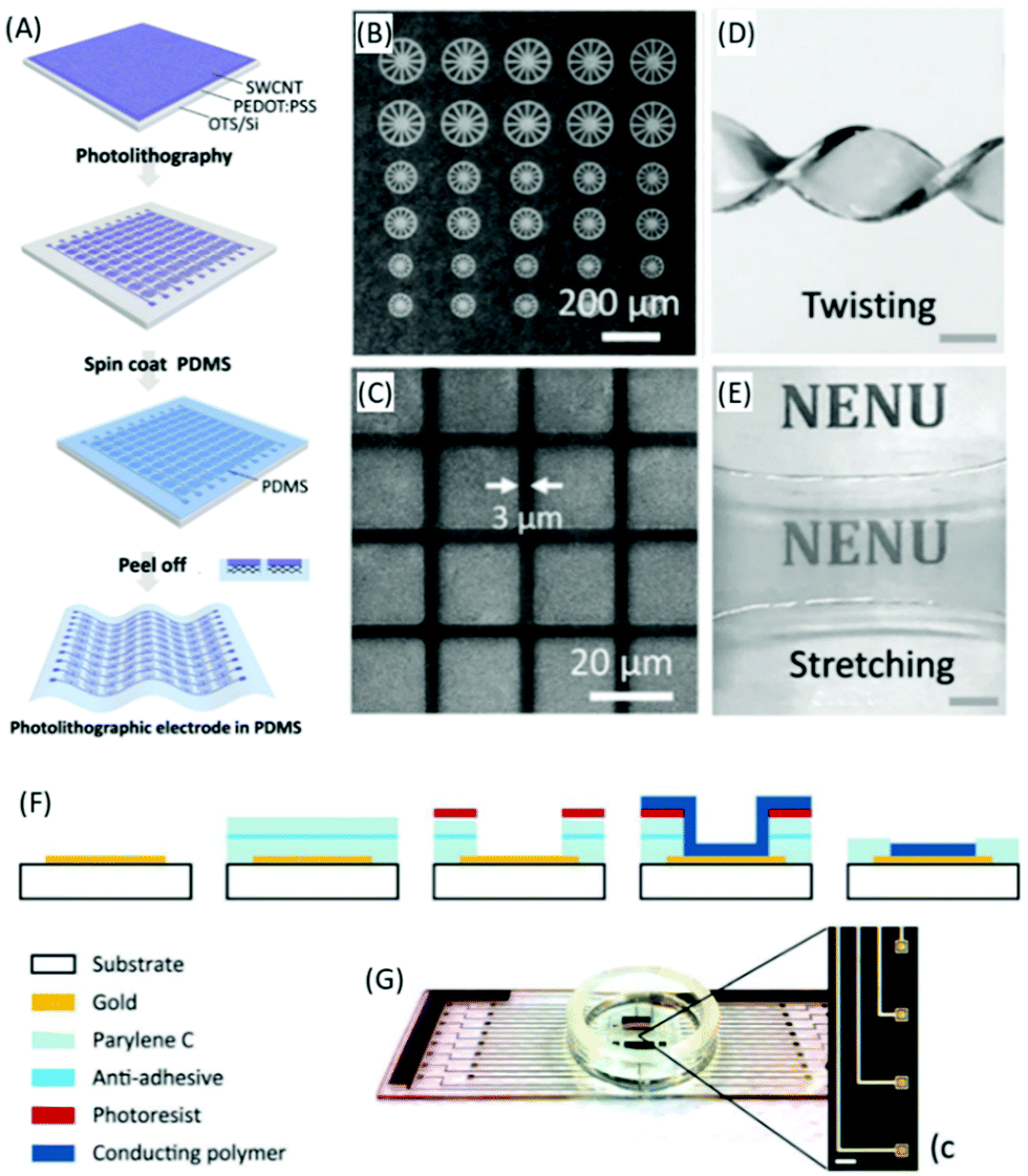 Fabrication of conducting polymer microelectrodes and microstructures for  bioelectronics - Journal of Materials Chemistry C (RSC Publishing)  DOI:10.1039/D1TC01618K