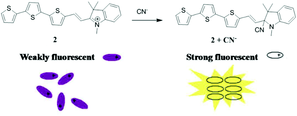 Fluorescence-based sensors as an emerging tool for anion