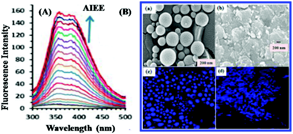 Electronic absorption spectra of selected chromophores 44c, 44d