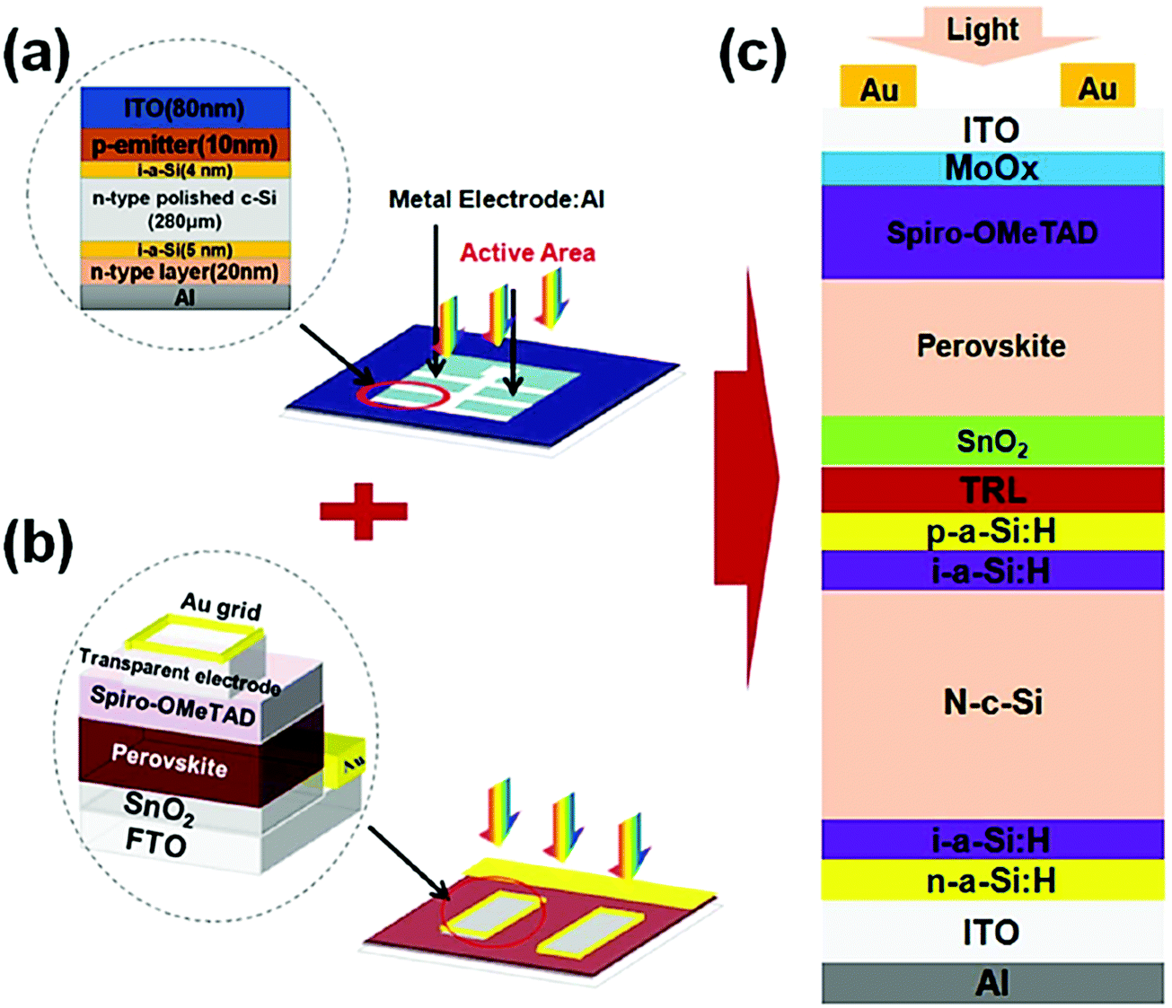 High-Performance Semitransparent Organic Photovoltaics Featuring a Surface  Phase-Matched Transmission-Enhancing Ag/ITO Electrode