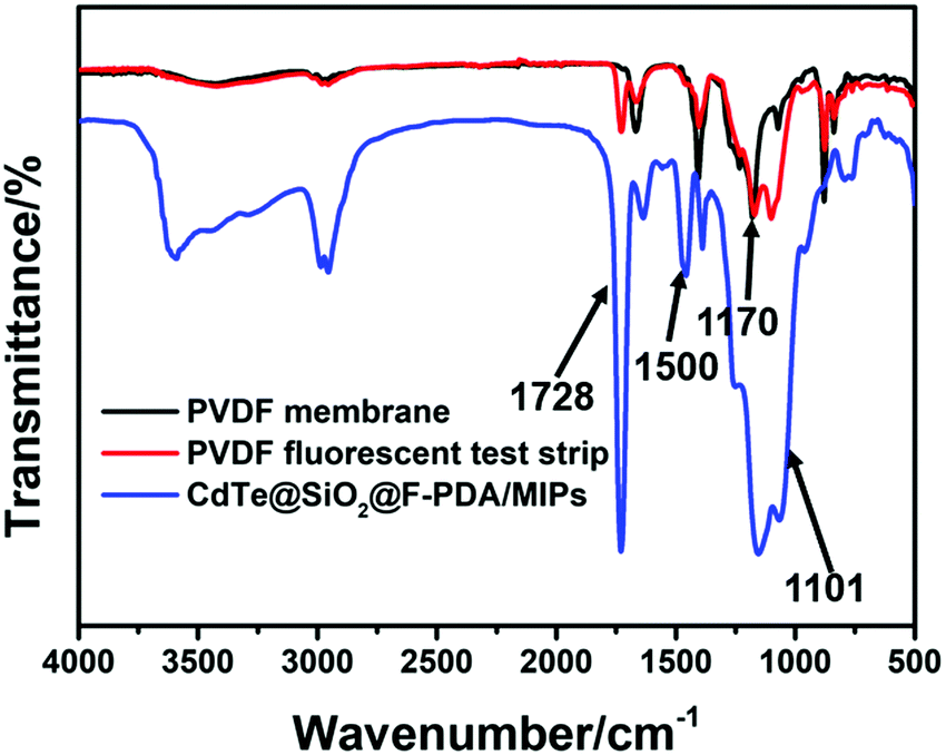 An ultrasensitive PVDF-based molecularly imprinted