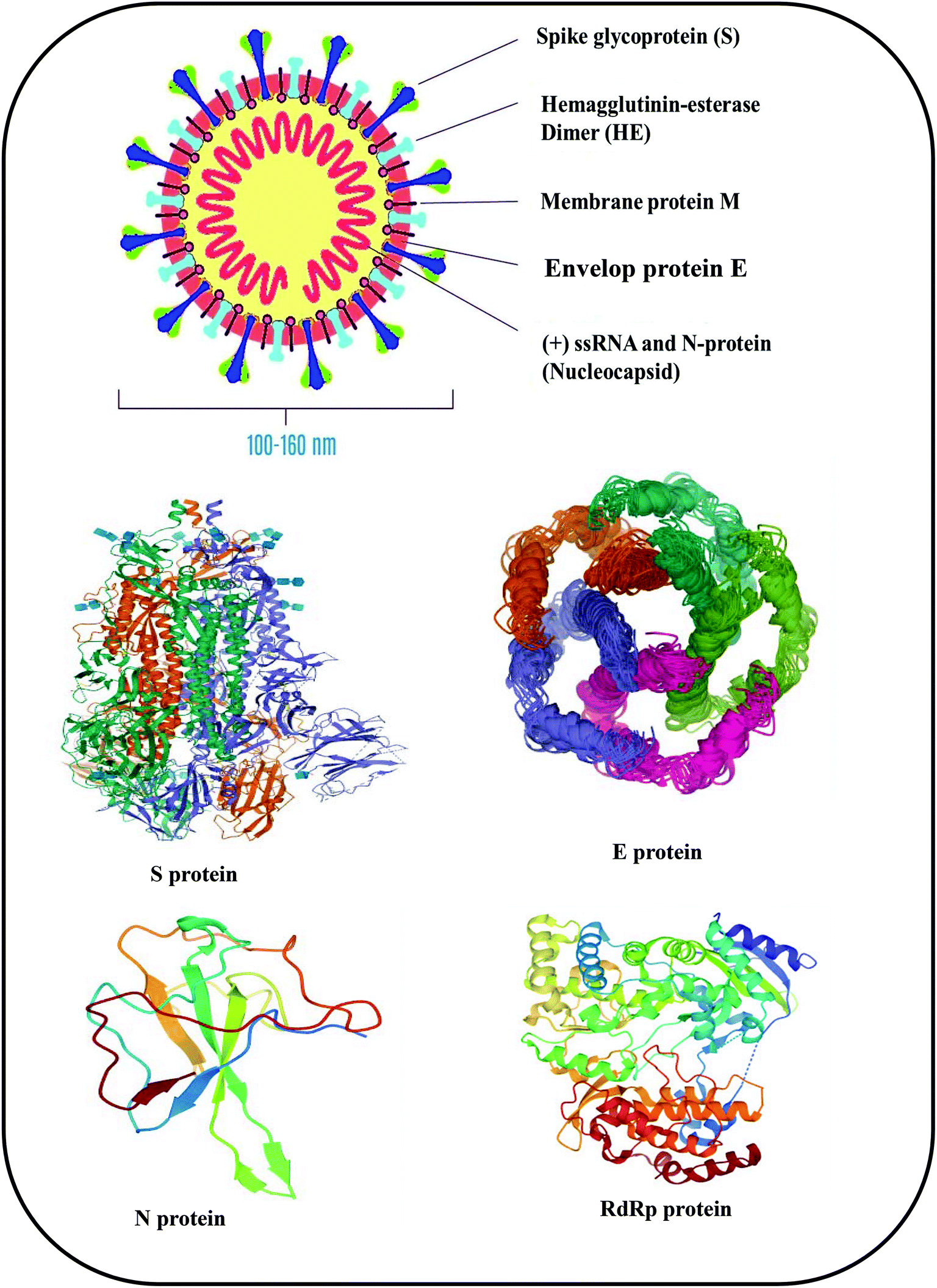 An Overview Of Molecular Biology And Nanotechnology Based Analytical Methods For The Detection Of Sars Cov 2 Promising Biotools For The Rapid Diagnosis Of Covid 19 Analyst Rsc Publishing