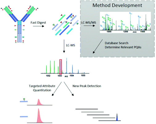 Multi-dimensional LC-MS: the next generation characterization of ...