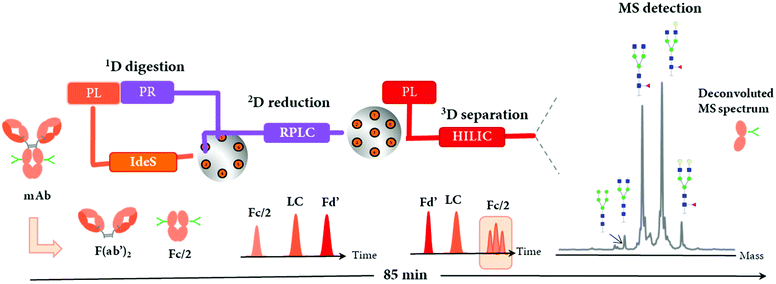 Multi-dimensional LC-MS: The Next Generation Characterization Of ...