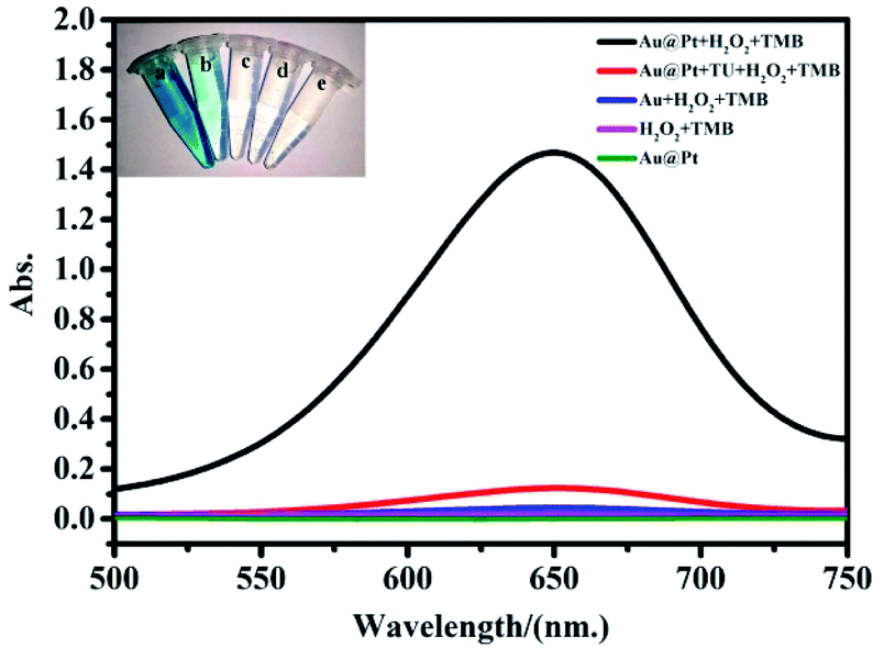 A Colorimetric Sensor For Detecting Thiourea Based On Inhibiting Peroxidase Like Activity Of Gold Platinum Nanoparticles Analytical Methods Rsc Publishing