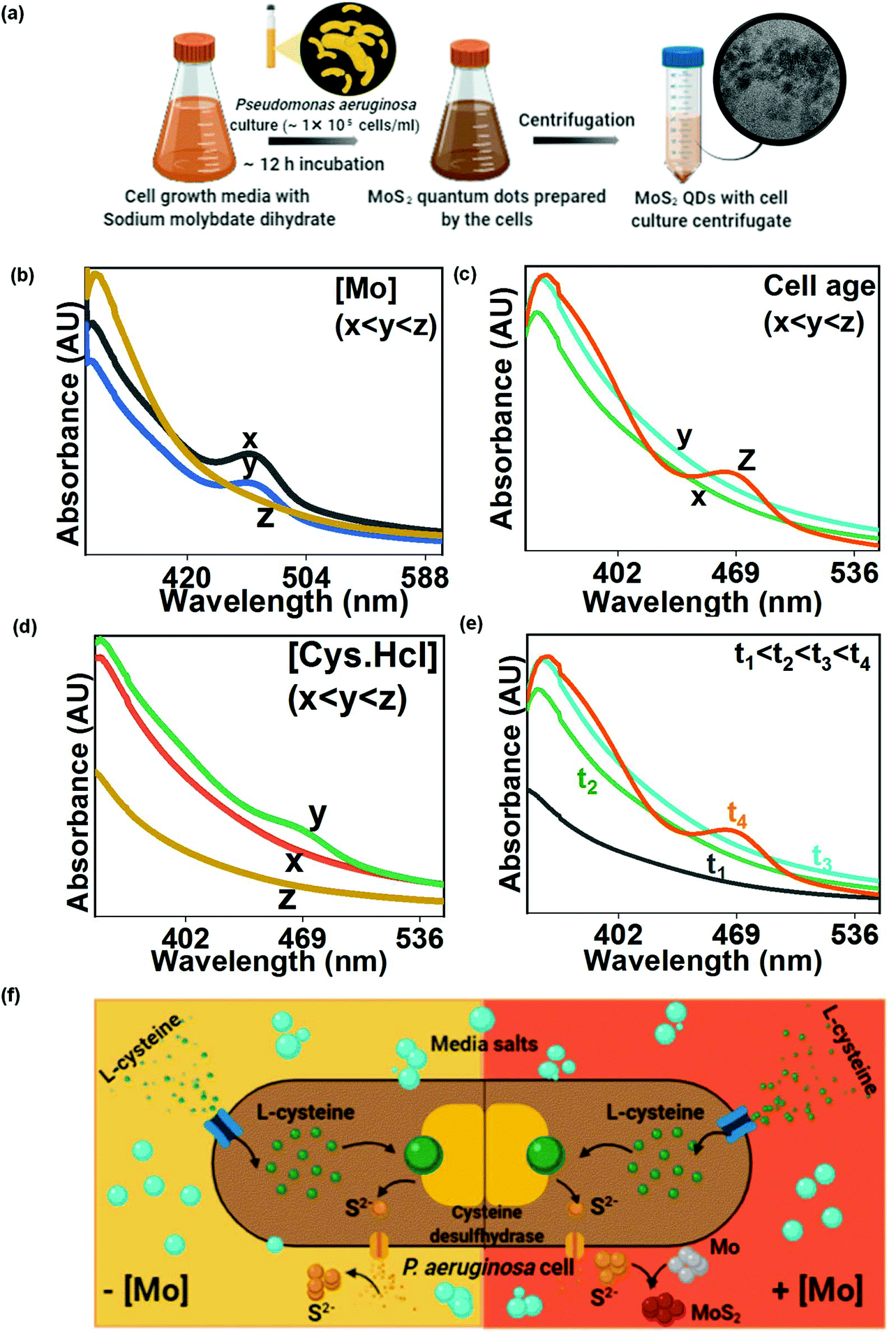 A Study Of Microbially Fabricated Bio Conjugated Quantum Dots For Pico Molar Sensing Of H2o2 And Glucose Biomaterials Science Rsc Publishing