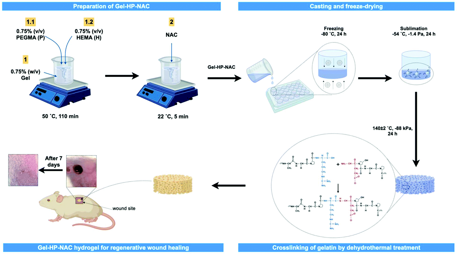 Improvement Of The Wound Healing Properties Of Hydrogels With N Acetylcysteine Through Their Modification With Methacrylate Containing Polymers Biomaterials Science Rsc Publishing