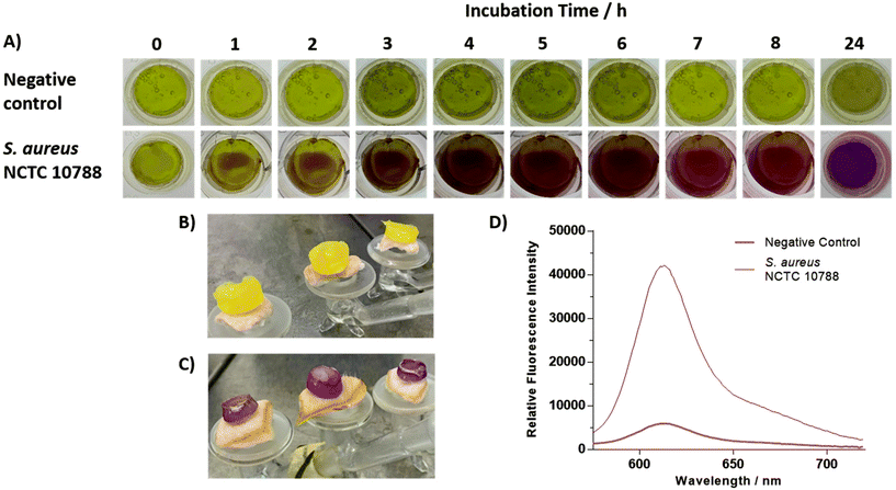 TCF-ALP: a fluorescent probe for the selective detection of