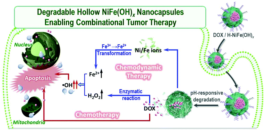 Hollow Nanocapsules Of Nife Hydroxides To Enable Doxorubicin Delivery And Combinational Tumour Therapy Biomaterials Science Rsc Publishing