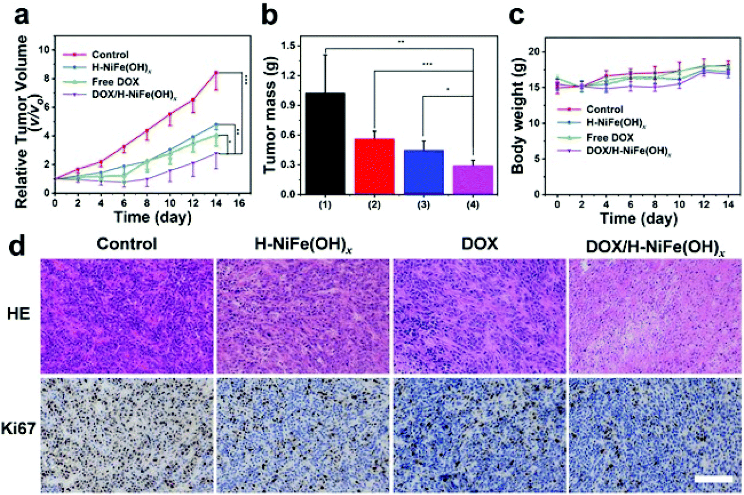 Hollow Nanocapsules Of Nife Hydroxides To Enable Doxorubicin Delivery And Combinational Tumour Therapy Biomaterials Science Rsc Publishing