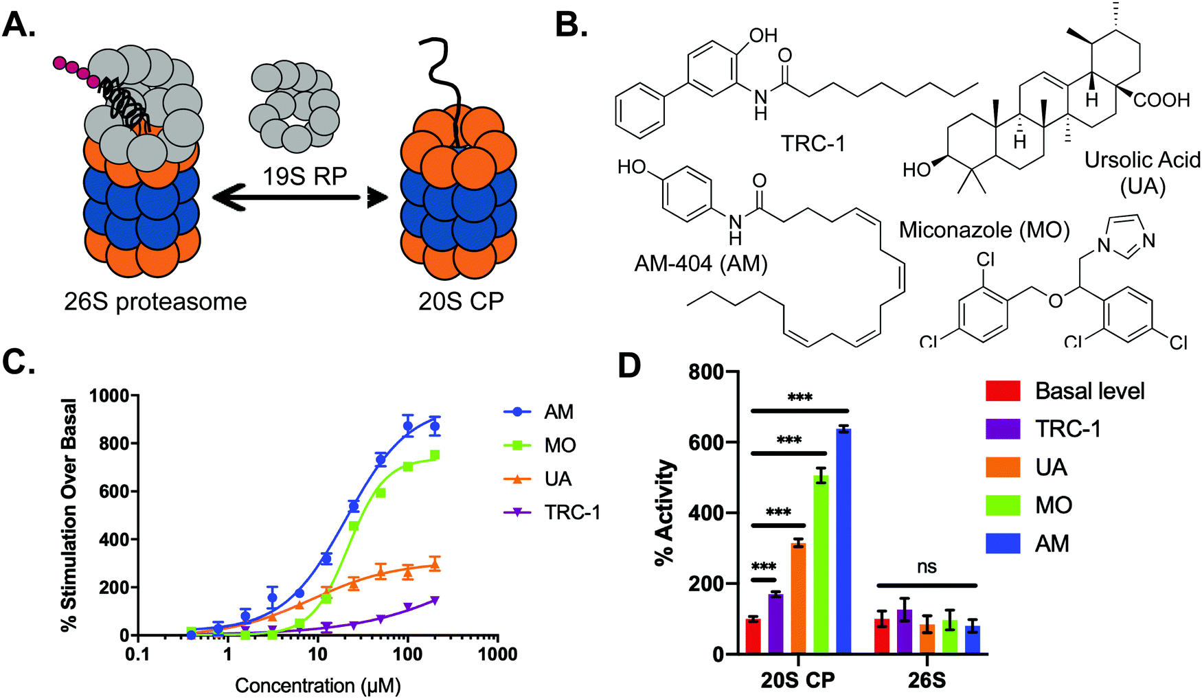 Protein degradation profile reveals dynamic nature of 20S proteasome