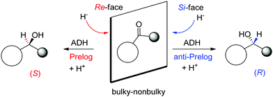 Enzymatic Strategies For Asymmetric Synthesis - RSC Chemical Biology ...