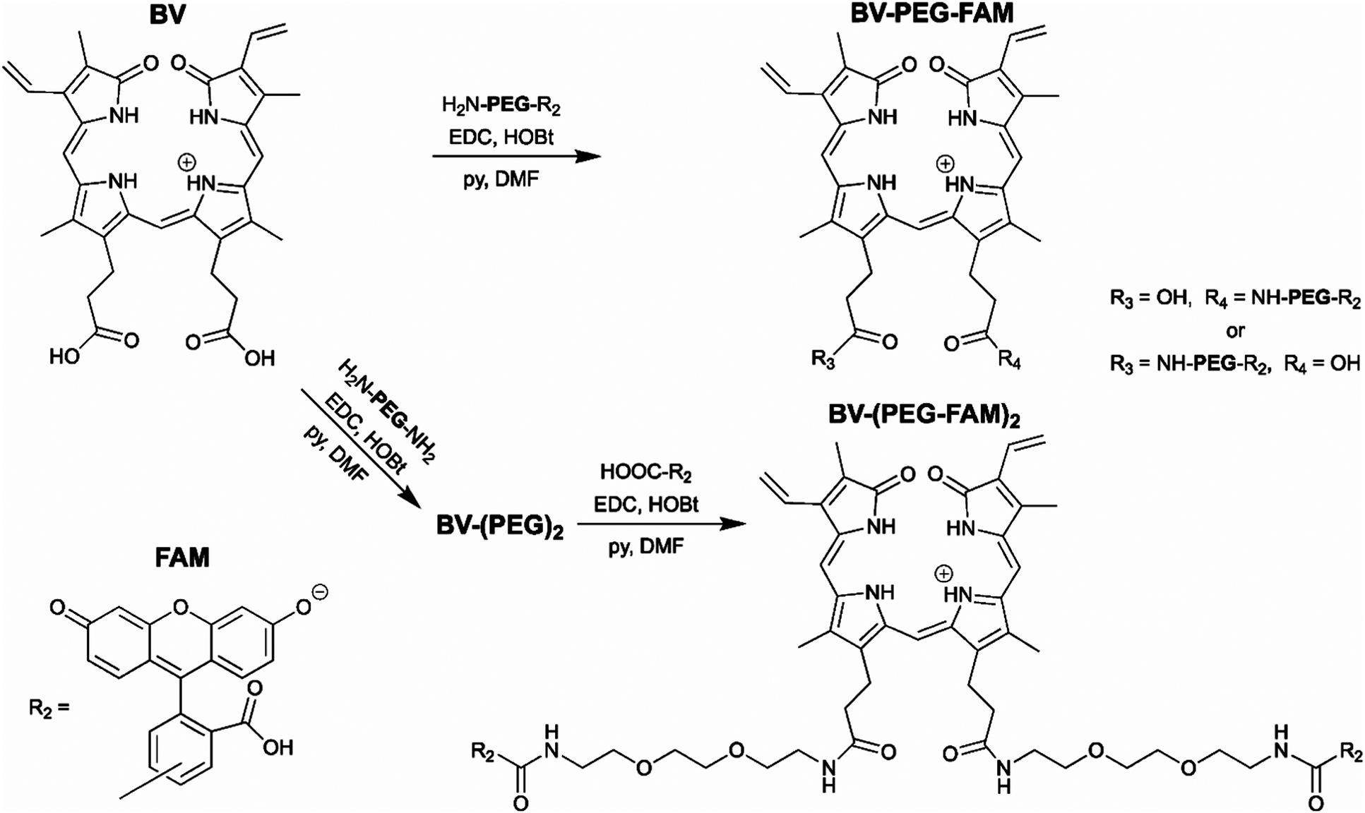 A Self Labeling Protein Based On The Small Ultra Red Fluorescent Protein Smurfp Rsc Chemical Biology Rsc Publishing A Self Labeling Protein Based On The Small Ultra Red Fluorescent Protein Smurfp Rsc Chemical Biology Rsc Publishing