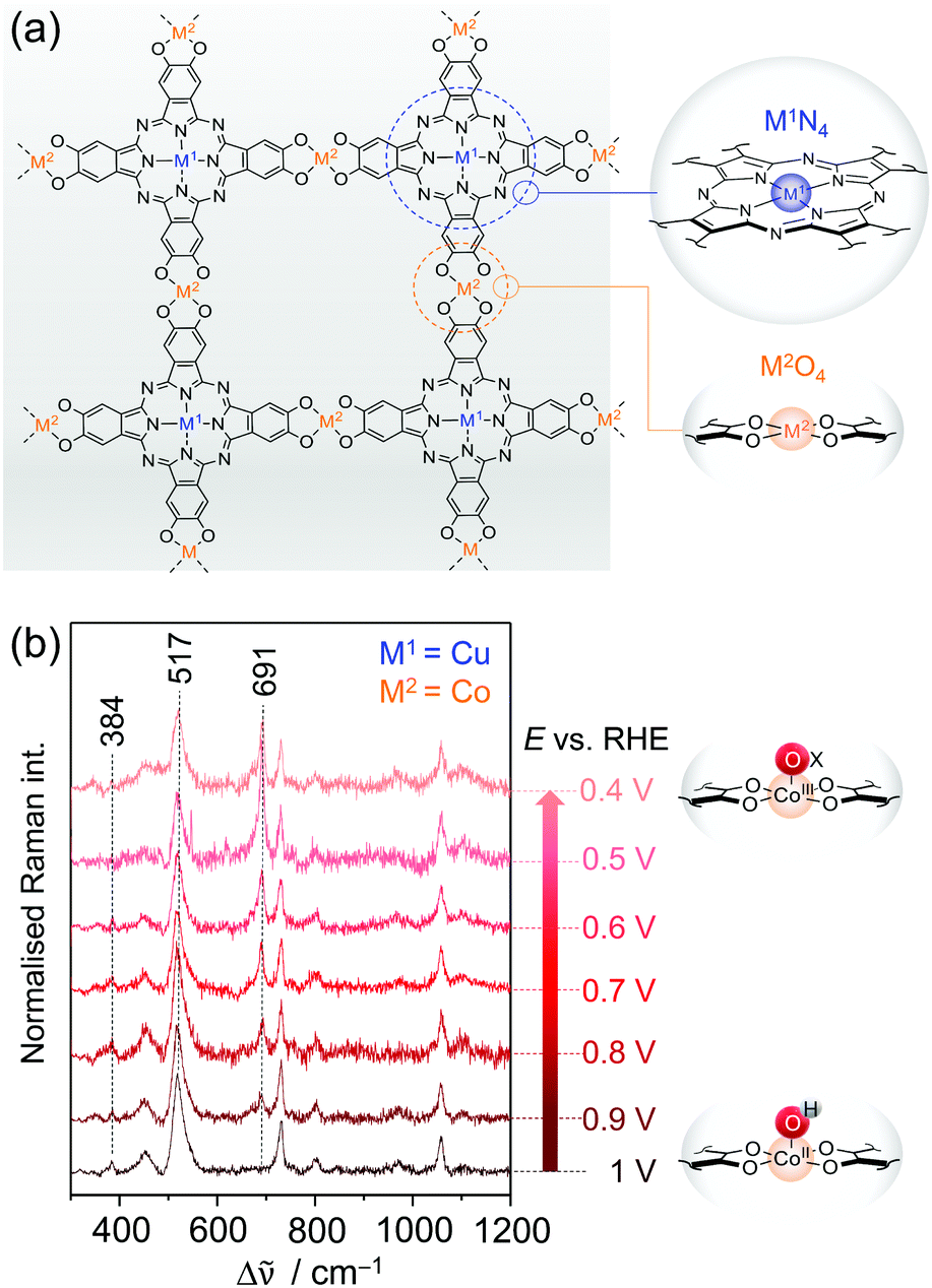 Understanding Active Sites In Molecular Photo Electrocatalysis Through Complementary Vibrational Spectroelectrochemistry Chemical Communications Rsc Publishing
