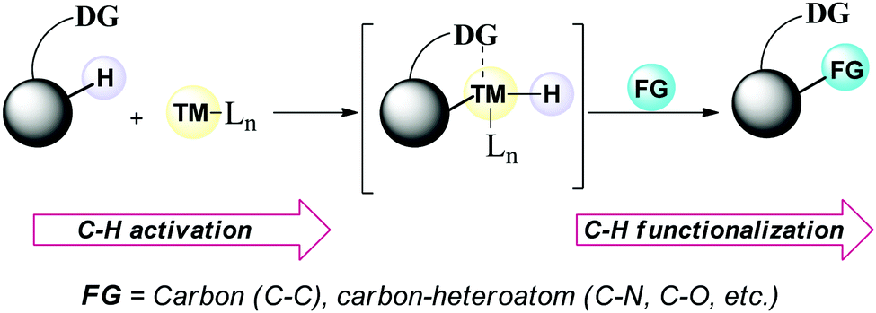 O Directed C H Functionalization Via Cobaltacycles A Sustainable Approach For C C And C Heteroatom Bond Formations Chemical Communications Rsc Publishing