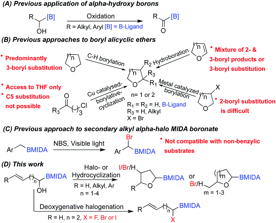 A Hydroxy Boron Enabled Regioselective Access To Bifunctional Halo Boryl Alicyclic Ethers And A Halo Borons Chemical Communications Rsc Publishing