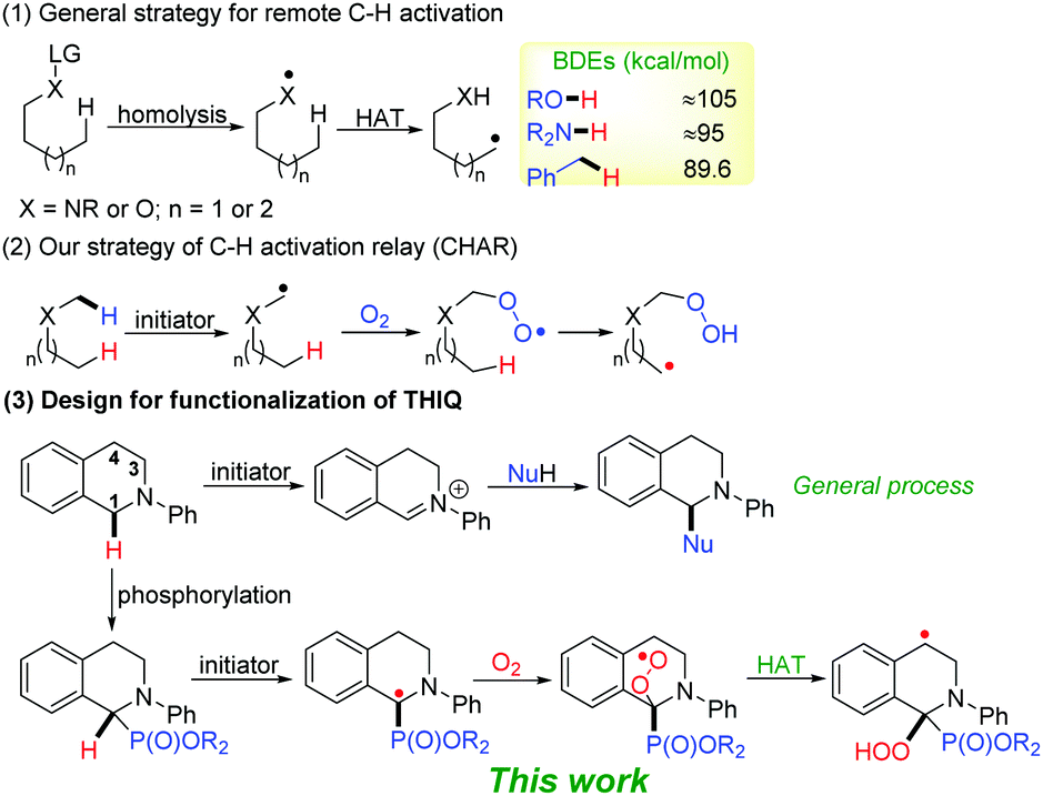 Oxidation Of The Inert Sp3 C H Bonds Of Tetrahydroisoquinolines Through C H Activation Relay Char Construction Of Functionalized Isoquinolin 1 Ones Chemical Communications Rsc Publishing