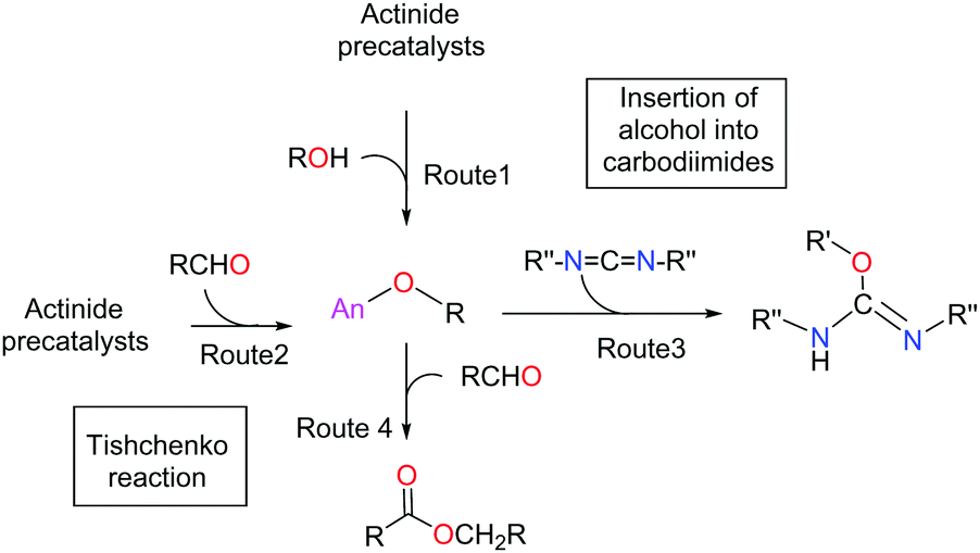 Recent Developments In Highly Basic N Heterocyclic Iminato Ligands In Actinide Chemistry Chemical Communications Rsc Publishing