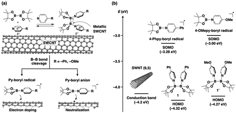 Electron Doping Of Single Walled Carbon Nanotubes Using Pyridine Boryl Radicals Chemical Communications Rsc Publishing