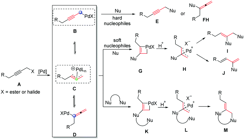 Palladium catalyzed divergent cycloadditions of  vinylidenecyclopropane-diesters with methyleneindolinones enabled by  zwitterionic π-propargyl palladium species - Chemical Communications (RSC  Publishing)