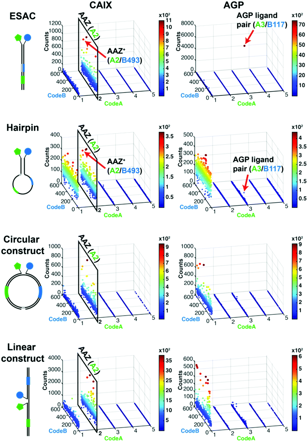 Modular assembly and encoding strategies for dual-display DNA-encoded ...