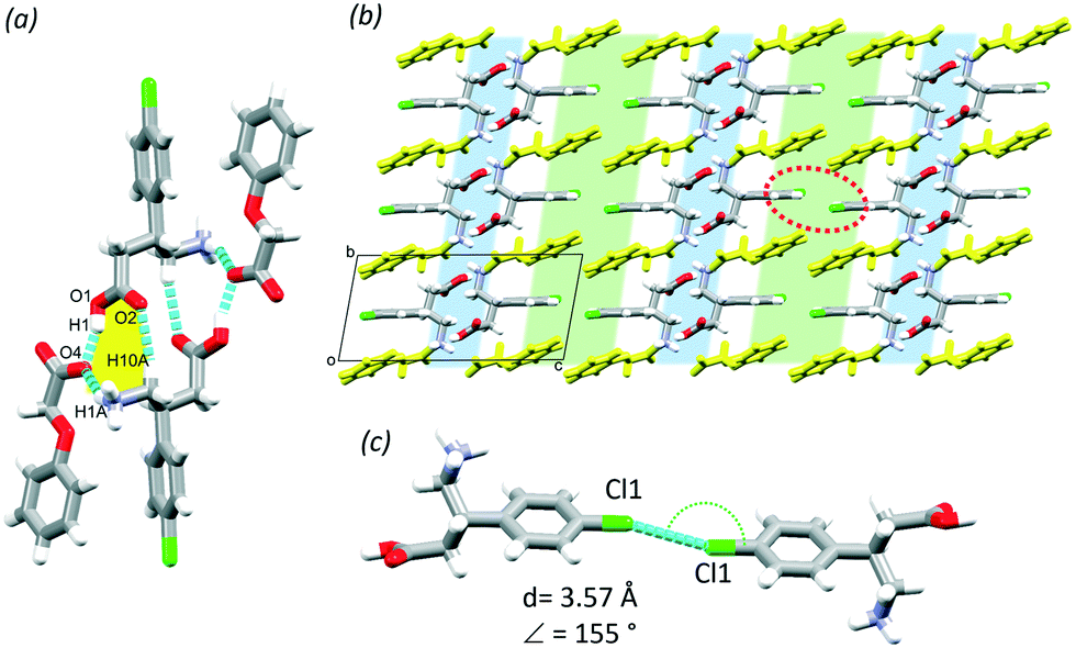 Multicomponent Crystals Of Baclofen With Acids And Bases Conformational Flexibility And Synthon Versatility Crystengcomm Rsc Publishing