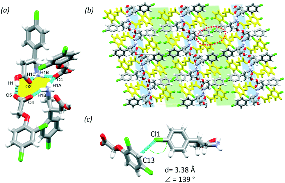 Multicomponent Crystals Of Baclofen With Acids And Bases Conformational Flexibility And Synthon Versatility Crystengcomm Rsc Publishing