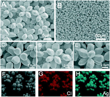 Cl − -Induced selective fabrication of 3D AgCl microcrystals by a one ...