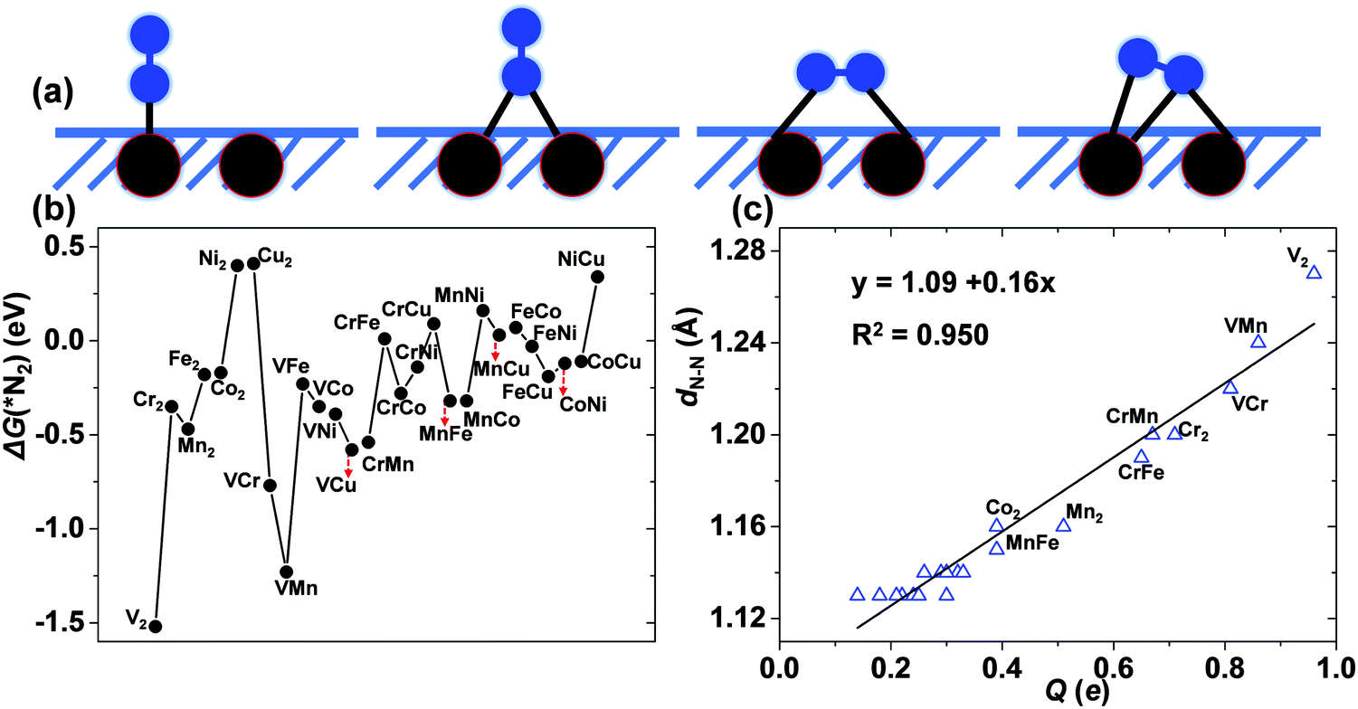 Electrocatalytic Nitrogen Reduction On The Transition Metal Dimer Anchored N Doped Graphene Performance Prediction And Synergetic Effect Physical Chemistry Chemical Physics Rsc Publishing