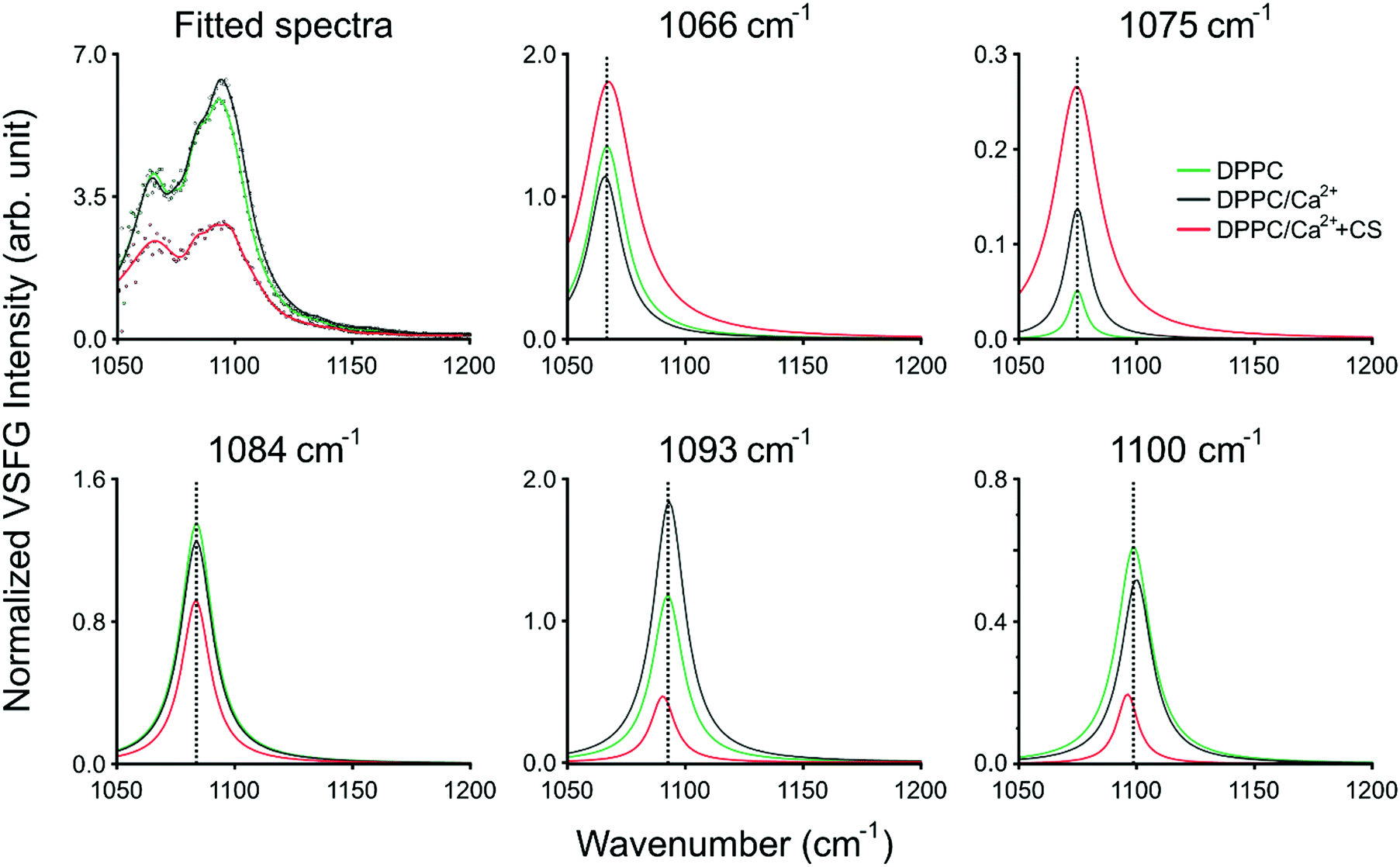 The interaction of chondroitin sulfate with a lipid monolayer observed