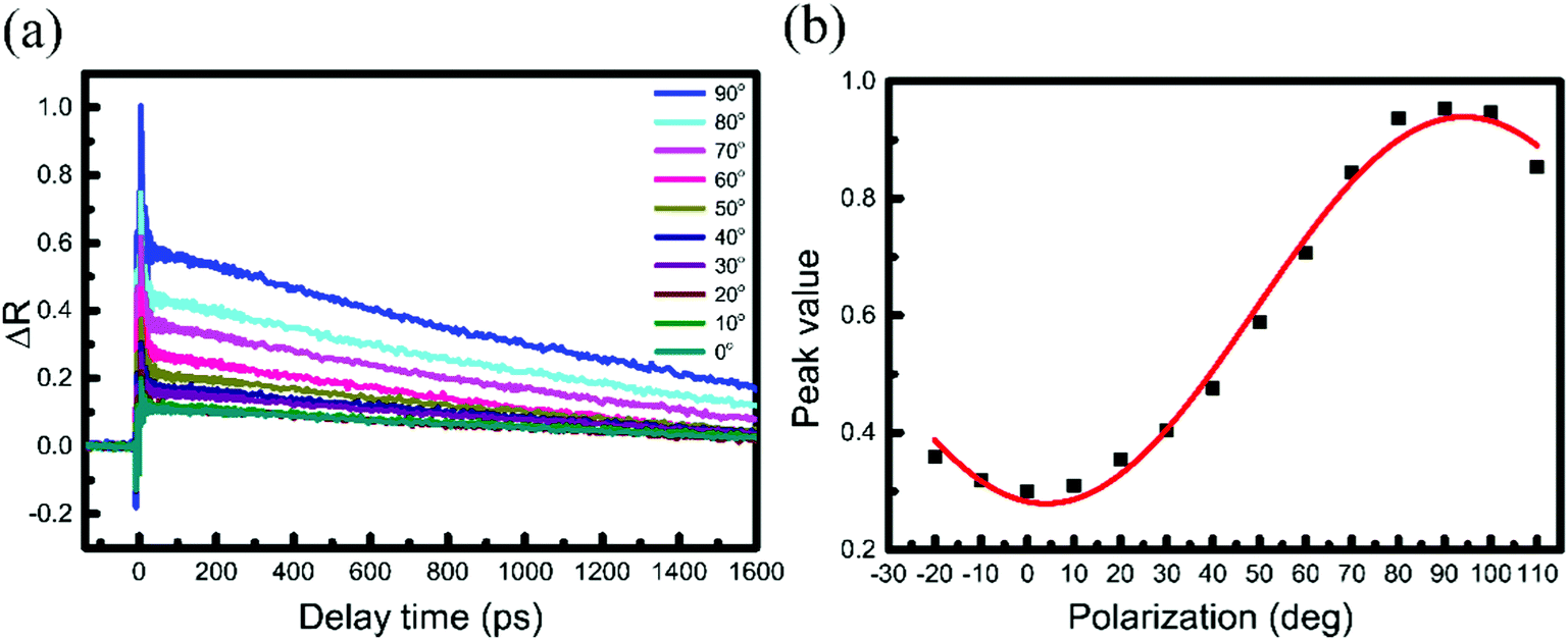 Thickness-dependent Ultrafast Charge-carrier Dynamics And Coherent ...