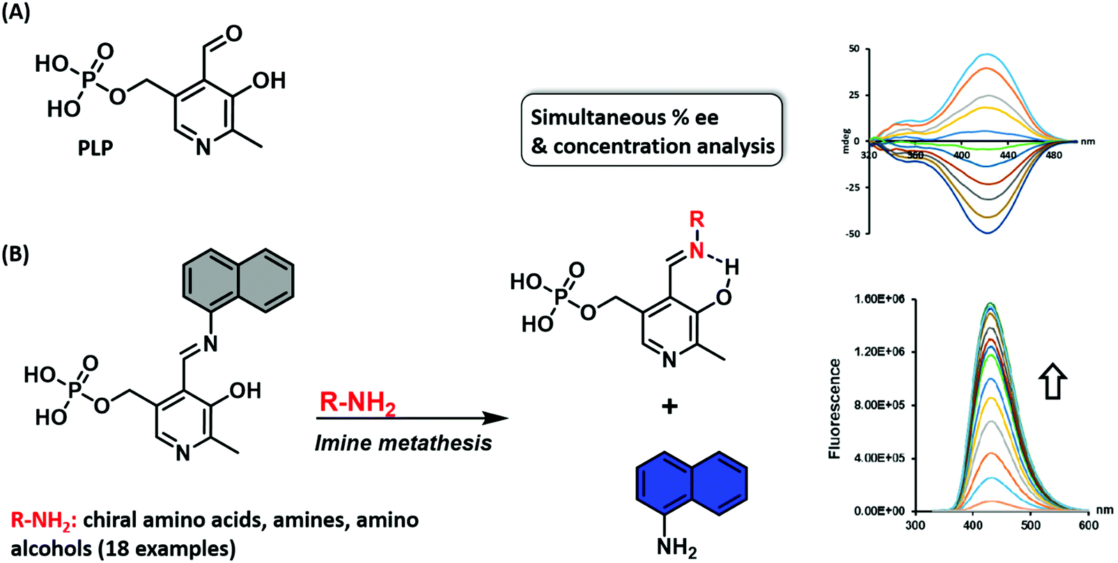 Indicator displacement assays (IDAs) the past, present and future