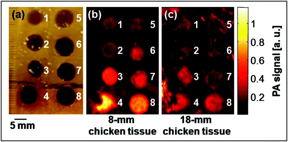 Stimuli Responsive Nanobubbles For Biomedical Applications Chemical Society Reviews Rsc Publishing