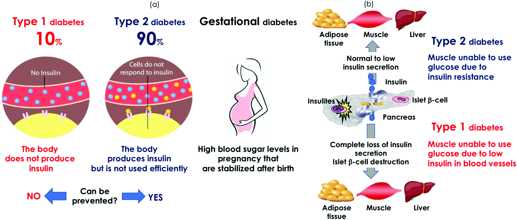 The Impact Of Chemical Engineering And Technological Advances On Managing Diabetes Present And Future Concepts Chemical Society Reviews Rsc Publishing