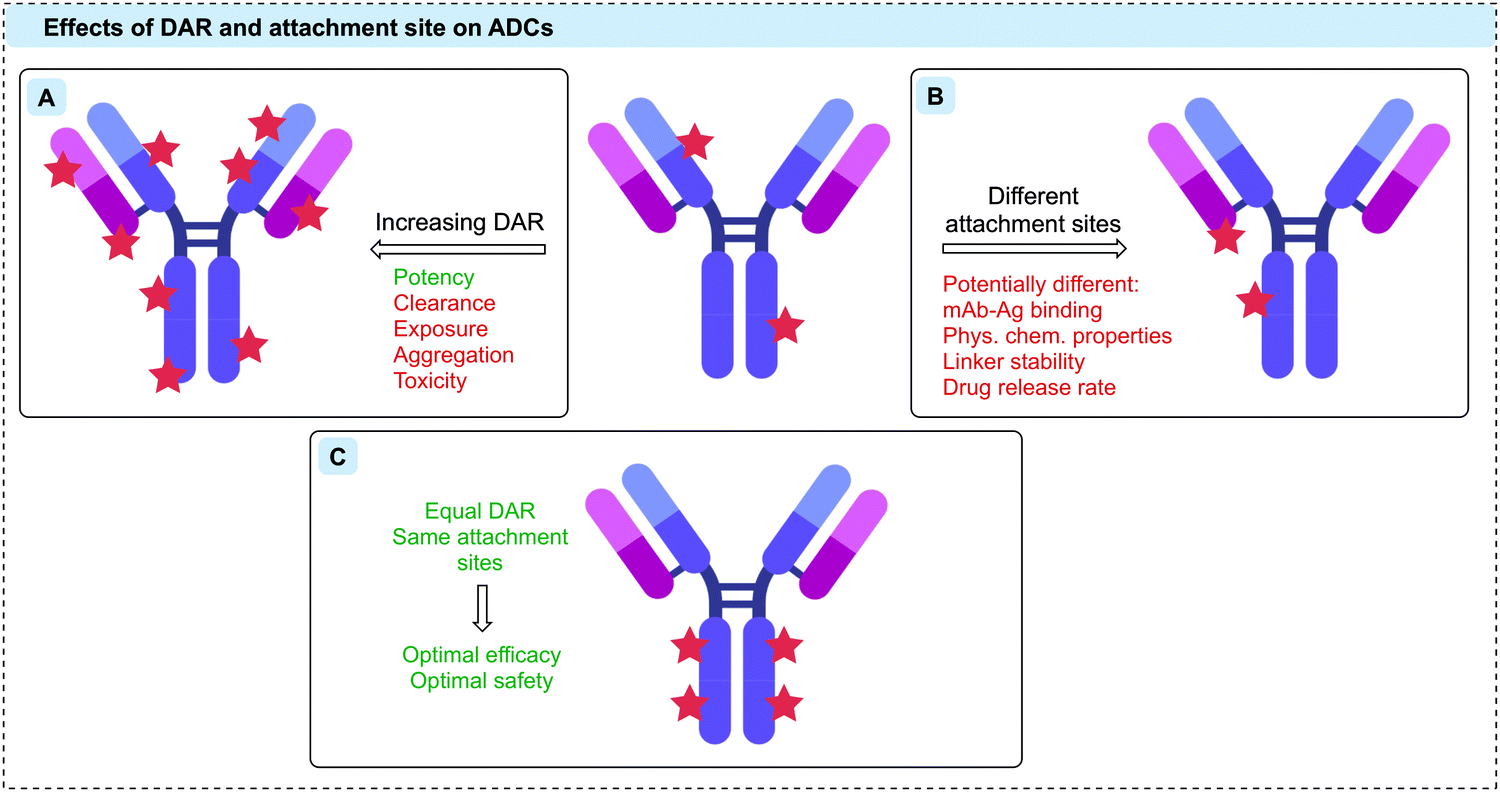 Site-selective modification strategies in antibody–drug conjugates -  Chemical Society Reviews (RSC Publishing)