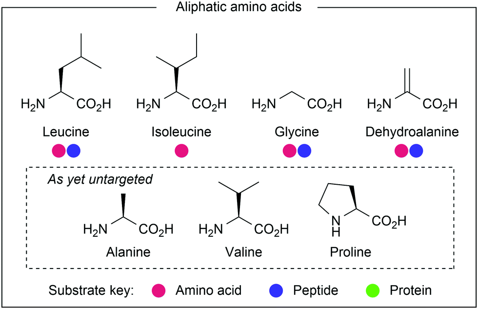 Photocatalytic methods for amino acid modification - Chemical Society Reviews (RSC Publishing ...