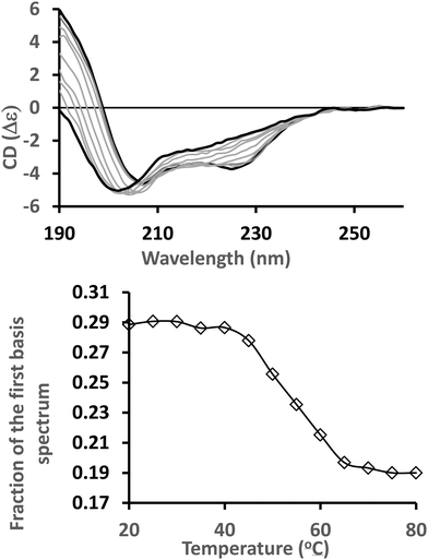 Tools and methods for circular dichroism spectroscopy of proteins: a ...