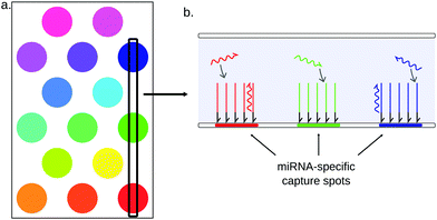 Advances in multiplexed techniques for the detection and quantification ...