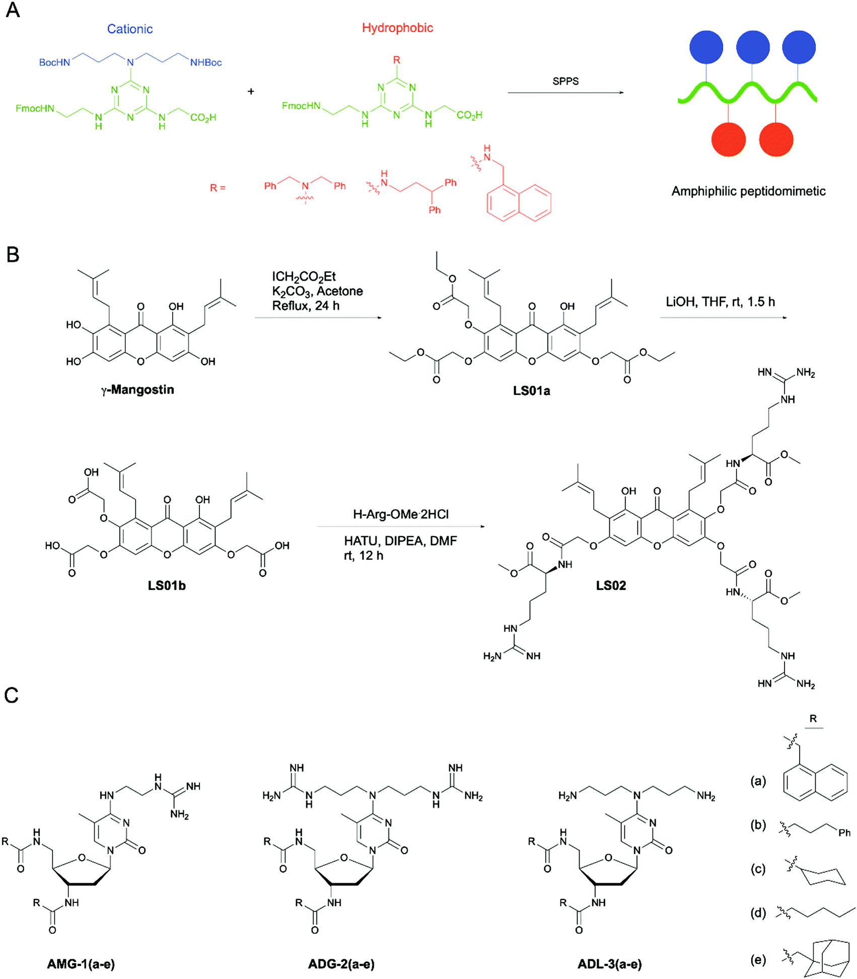 The Multifaceted Nature Of Antimicrobial Peptides Current Synthetic Chemistry Approaches And Future Directions Chemical Society Reviews Rsc Publishing