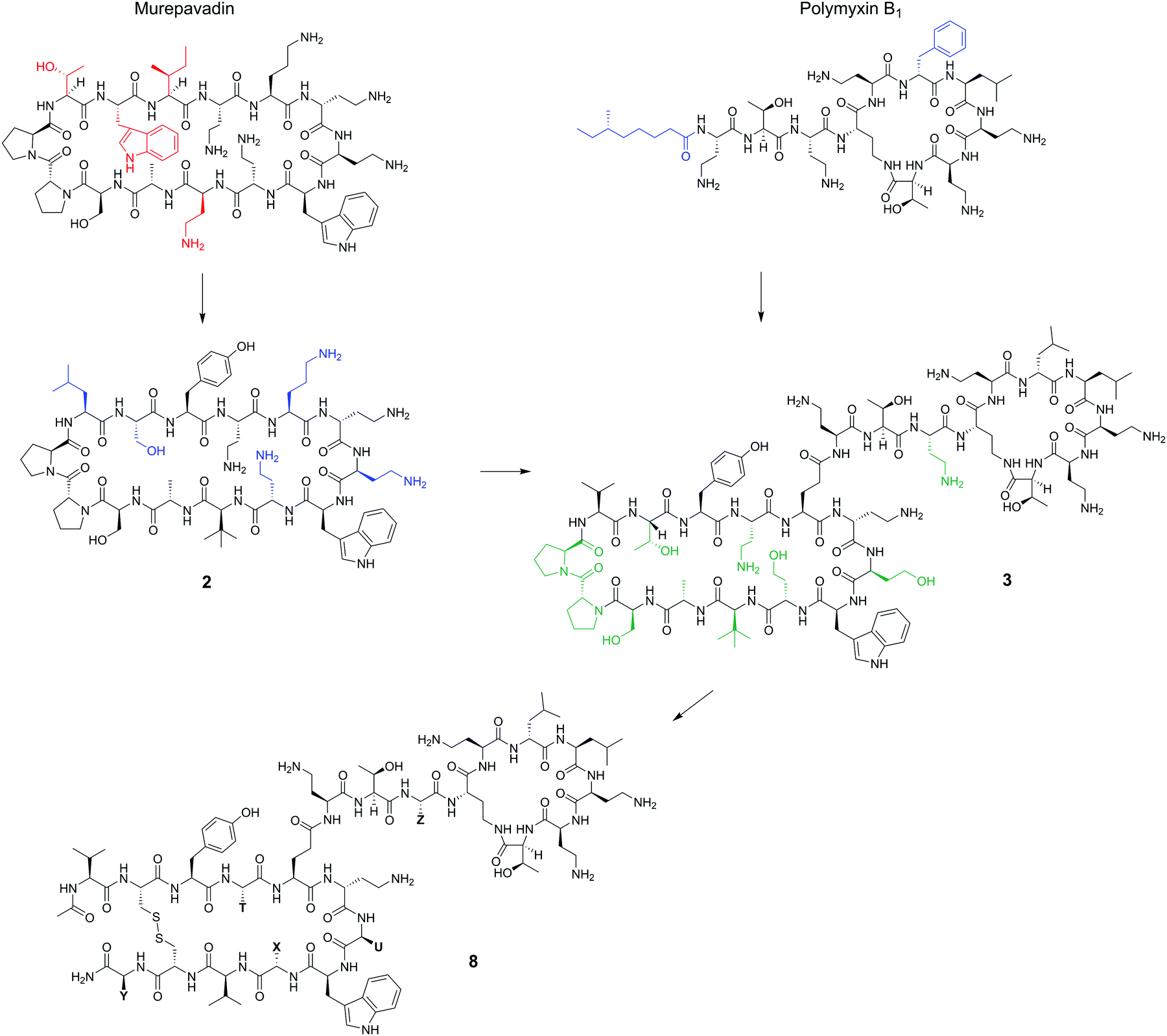 The Multifaceted Nature Of Antimicrobial Peptides Current Synthetic Chemistry Approaches And Future Directions Chemical Society Reviews Rsc Publishing