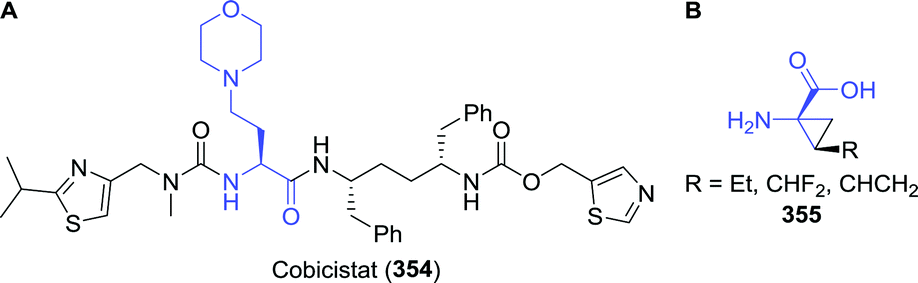 Biocatalytic routes to anti-viral agents and their synthetic ...