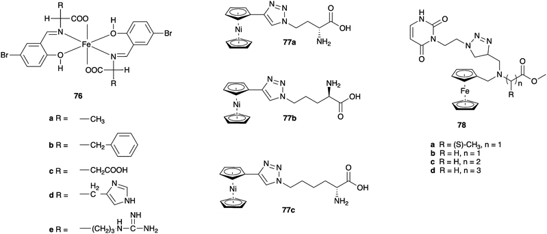 Recent Developments Of Metal Based Compounds Against Fungal Pathogens Chemical Society Reviews Rsc Publishing