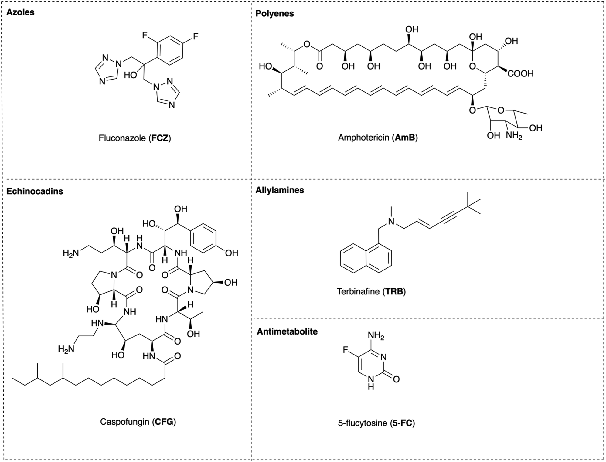 Recent Developments Of Metal Based Compounds Against Fungal Pathogens Chemical Society Reviews Rsc Publishing