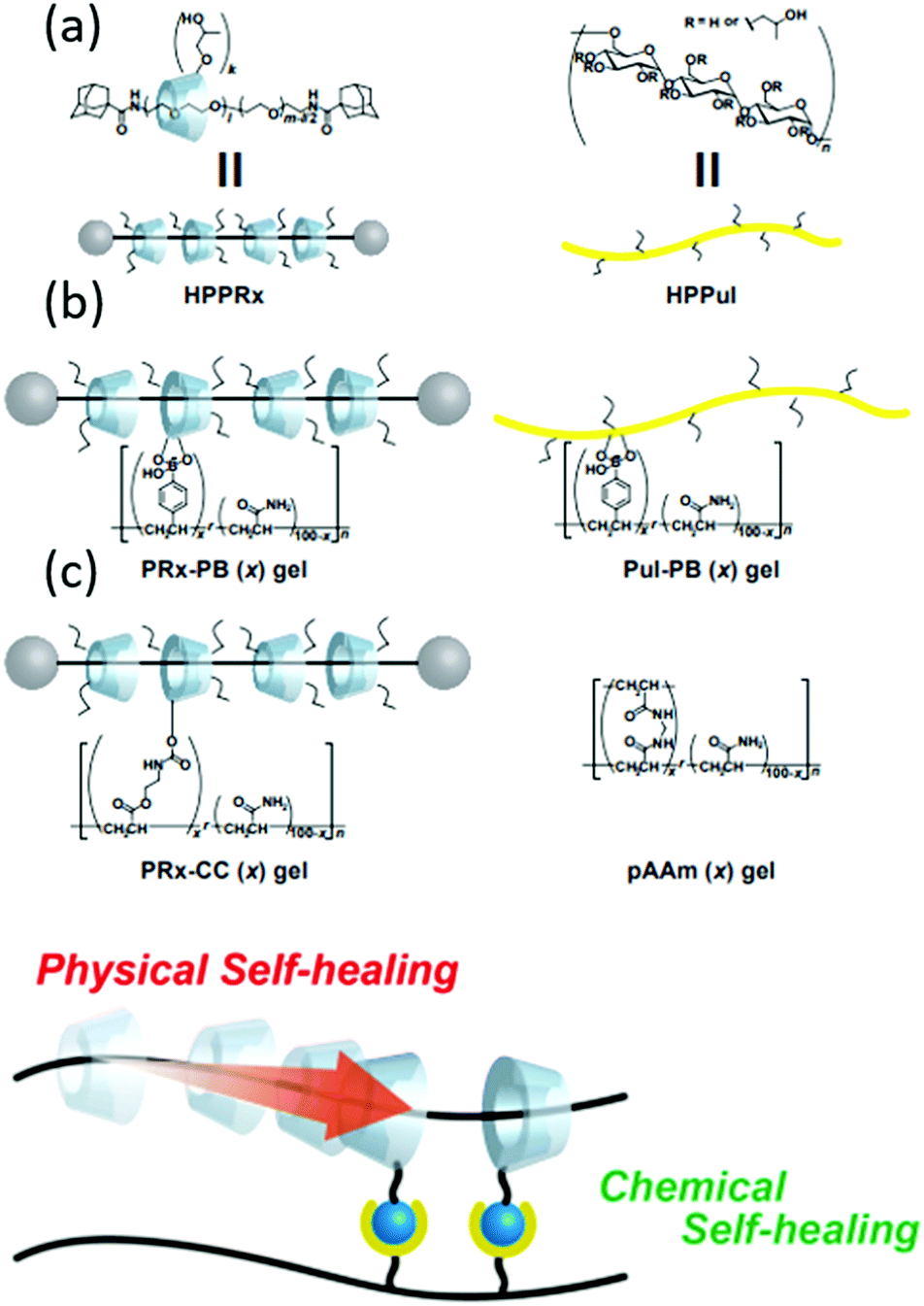 Advances In Applied Supramolecular Technologies Chemical Society Reviews Rsc Publishing