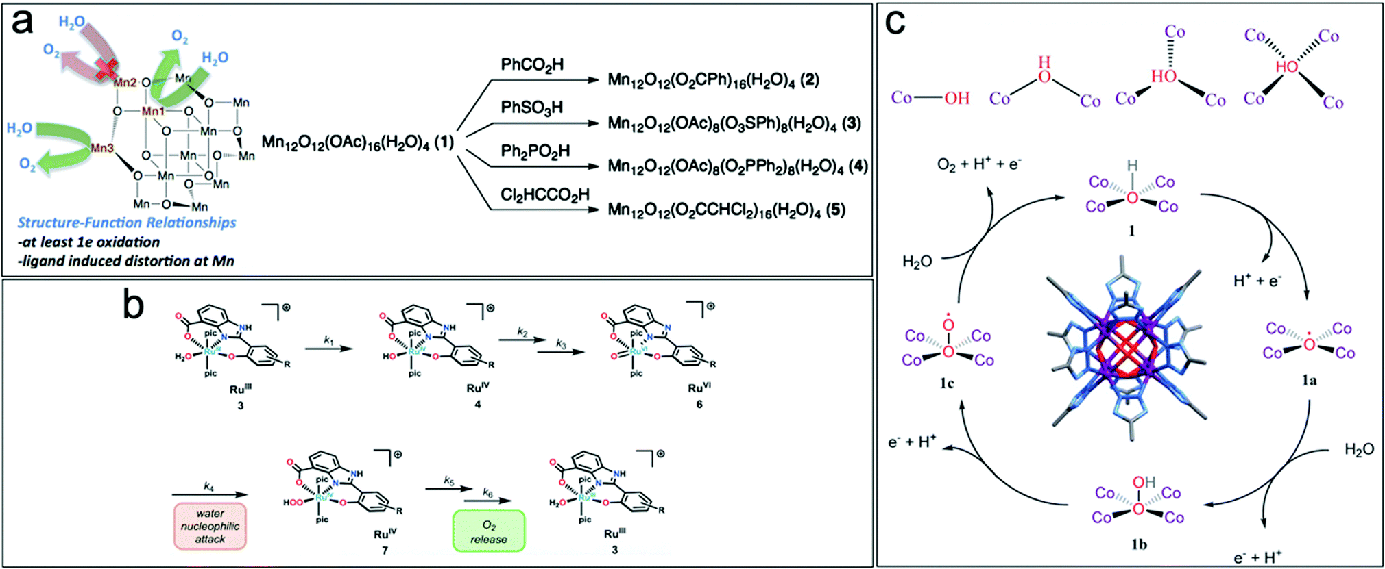Molecular And Heterogeneous Water Oxidation Catalysts Recent Progress And Joint Perspectives Chemical Society Reviews Rsc Publishing