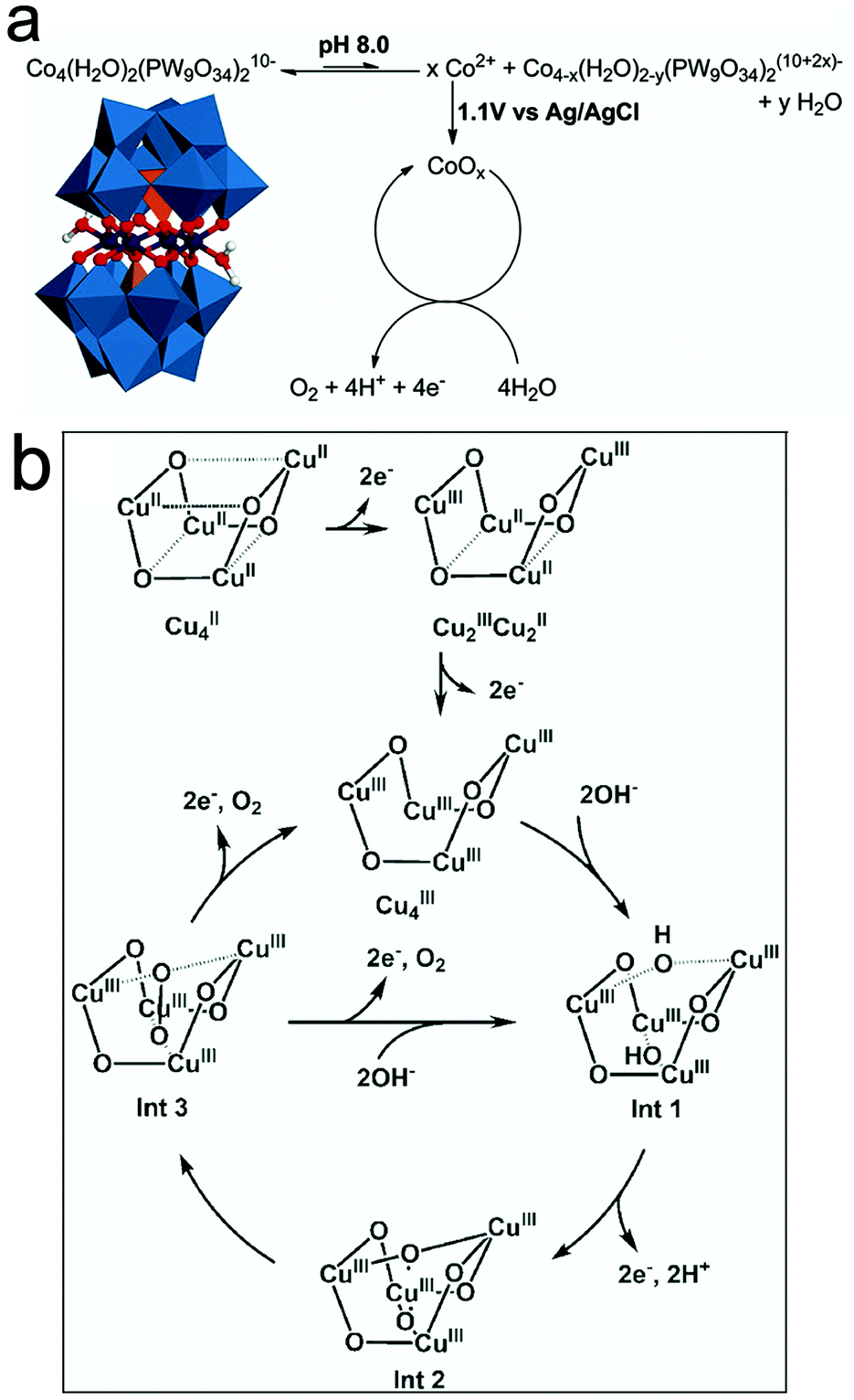 Molecular And Heterogeneous Water Oxidation Catalysts Recent Progress And Joint Perspectives Chemical Society Reviews Rsc Publishing