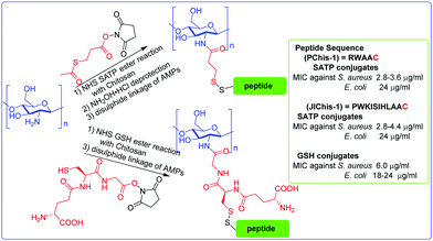 Chemically Modified And Conjugated Antimicrobial Peptides Against Superbugs Chemical Society Reviews Rsc Publishing