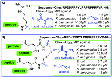 Chemically Modified And Conjugated Antimicrobial Peptides Against Superbugs Chemical Society Reviews Rsc Publishing