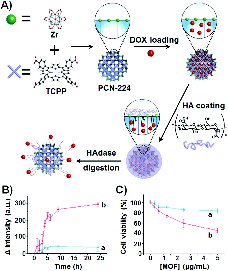 Stimuli Responsive Metal Organic Framework Nanoparticles For Controlled Drug Delivery And Medical Applications Chemical Society Reviews Rsc Publishing
